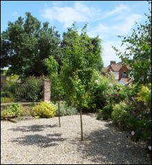 Image of museum gardens