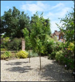 Image of museum gardens